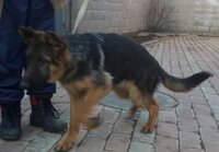 2015-03-15 19.55.54.jpg