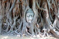 IMG_6869-1 Wat Mahathat-1.jpg