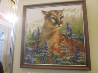 Изображение 553.jpg