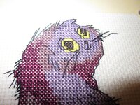 Изображение 31881.jpg