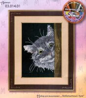 03.014.01 Любопытный Кузя.jpg