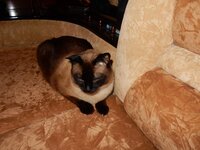 2015-09-23 07-10-22.jpg