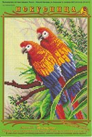 613 Попугаи.jpg