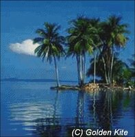 342 Tropical Palms.jpg