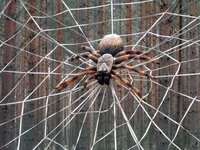 Изображение 033.jpg