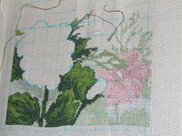 IMG_2240 [Разрешение рабочего стола].JPG