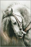 Серый конь.jpg