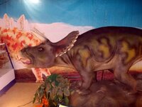 Изображение 003.jpg