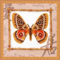 МВ-004 Buaeopsis princep.jpg