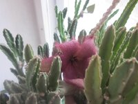 Изображение 2863.jpg