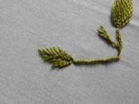 2017-06-01 14-28-38.jpg