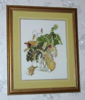 Wild grapes (02).jpeg