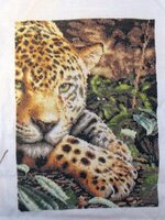 Изображение 287955.jpg