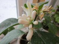 Изображение 2171.jpg