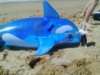 IMAG0160 [Разрешение рабочего стола].JPG