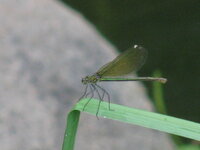 Изображение 111.jpg