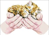Котенок в руках (xsd).jpg