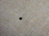 2014-05-18 17-38-54.jpg