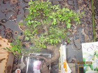 Изображение 495.jpg