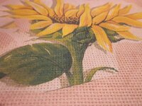 Изображение 2812.jpg