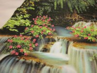 Изображение 2018.jpg