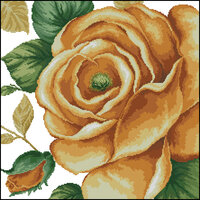 желтая роза.jpg