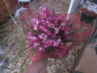 Изображение 392.jpg