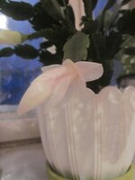 Изображение 240.jpg