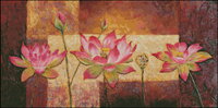 Lotus Flowers.jpg