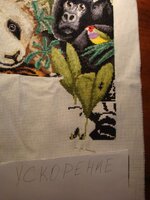 джунгли ускорение.jpg