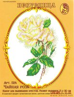 524 Чайная роза.jpg