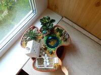 2016-06-04 10-53-30.jpg