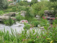 Изображение 091.jpg