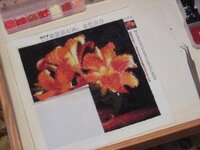 Изображение 1277.jpg