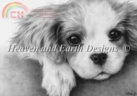 HAEZIN  15877  Little Puppy.jpg