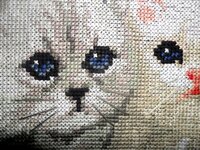 Парочка вблизи.JPG