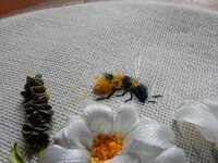 2014-06-02 17-23-04.jpg