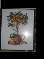 Апельсиновое дерево.jpg