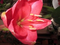 Изображение 1675.jpg