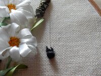 2014-05-31 11-42-18.jpg