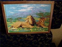 24059093_518767941824637_5754389329545498435_n.thumb.jpg.1610d2cb95c227aa896a95261e0b8630.jpg