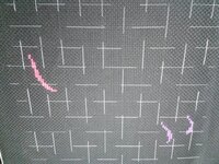 2013-12-17 19.27.58.jpg