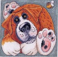 DMC Kate Mawdsley - Saint Bernard.jpg