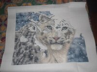 17.01.2015 разв.с.JPG