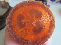 Изображение 32381.jpg