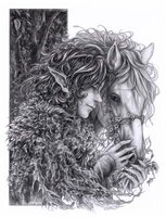 Companions Friendship.jpg