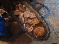 Изображение 503.jpg