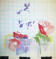 guyana маки 09.11.2011.jpg