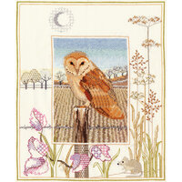 PROD-DWD-WIL3-L Wildlife BARN OWL Cross Stitch Kit.jpg