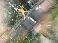 Изображение 130.jpg